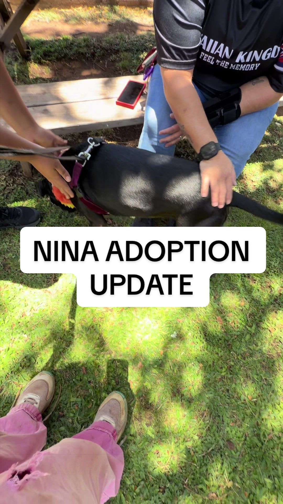 @Cassondra | Maui Shelter Dogs