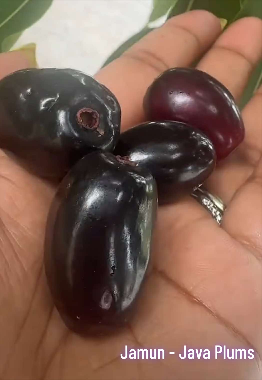 @๐ด๐๐๐๐๐๐_๐บ๐๐๐๐