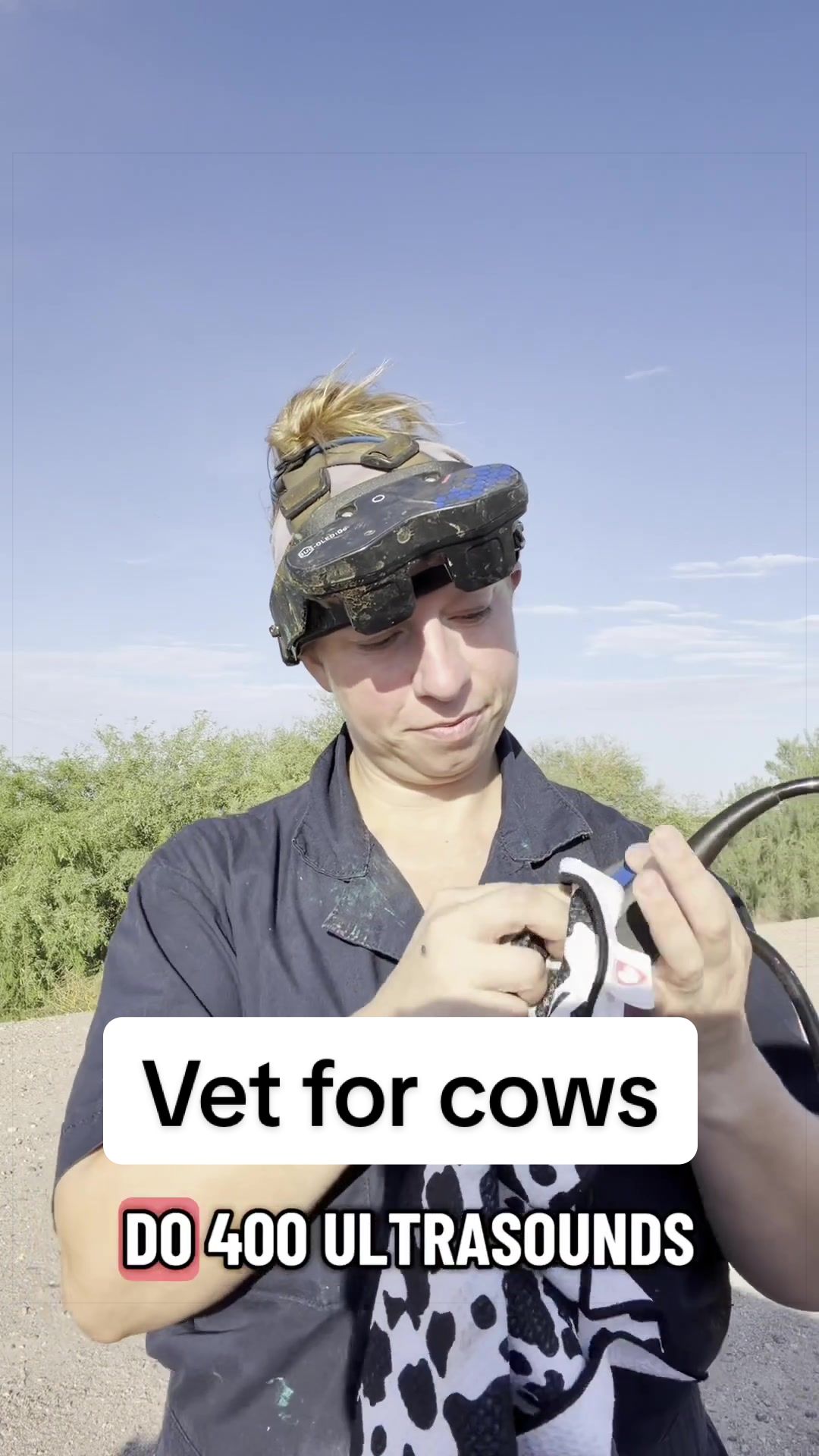 @Dairy Vet Dr. Michelle