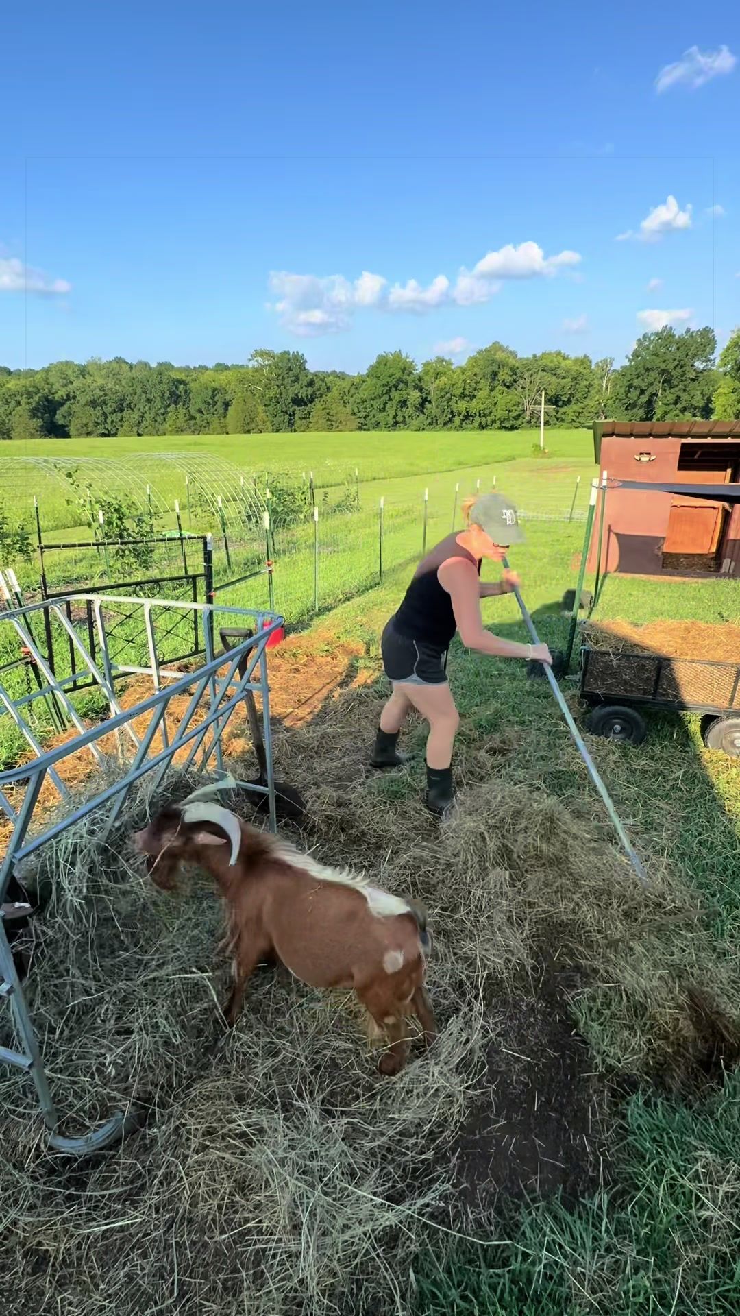 @Momma Tay🐐🐓👩🏼🌾💕