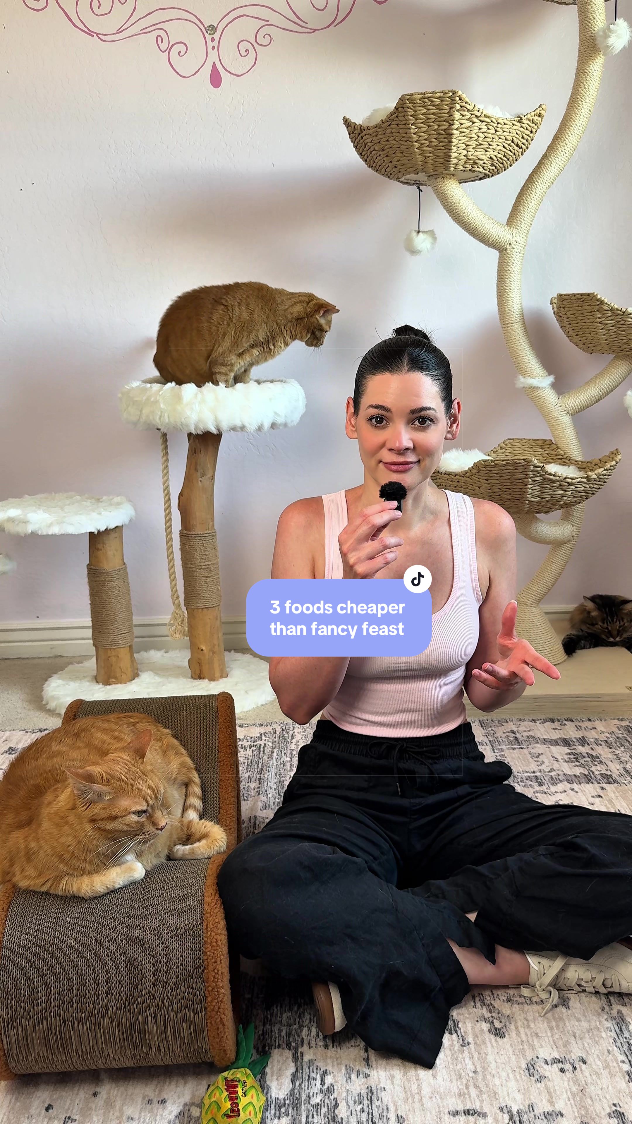 @Feminist Kitty | Cat Nutrition