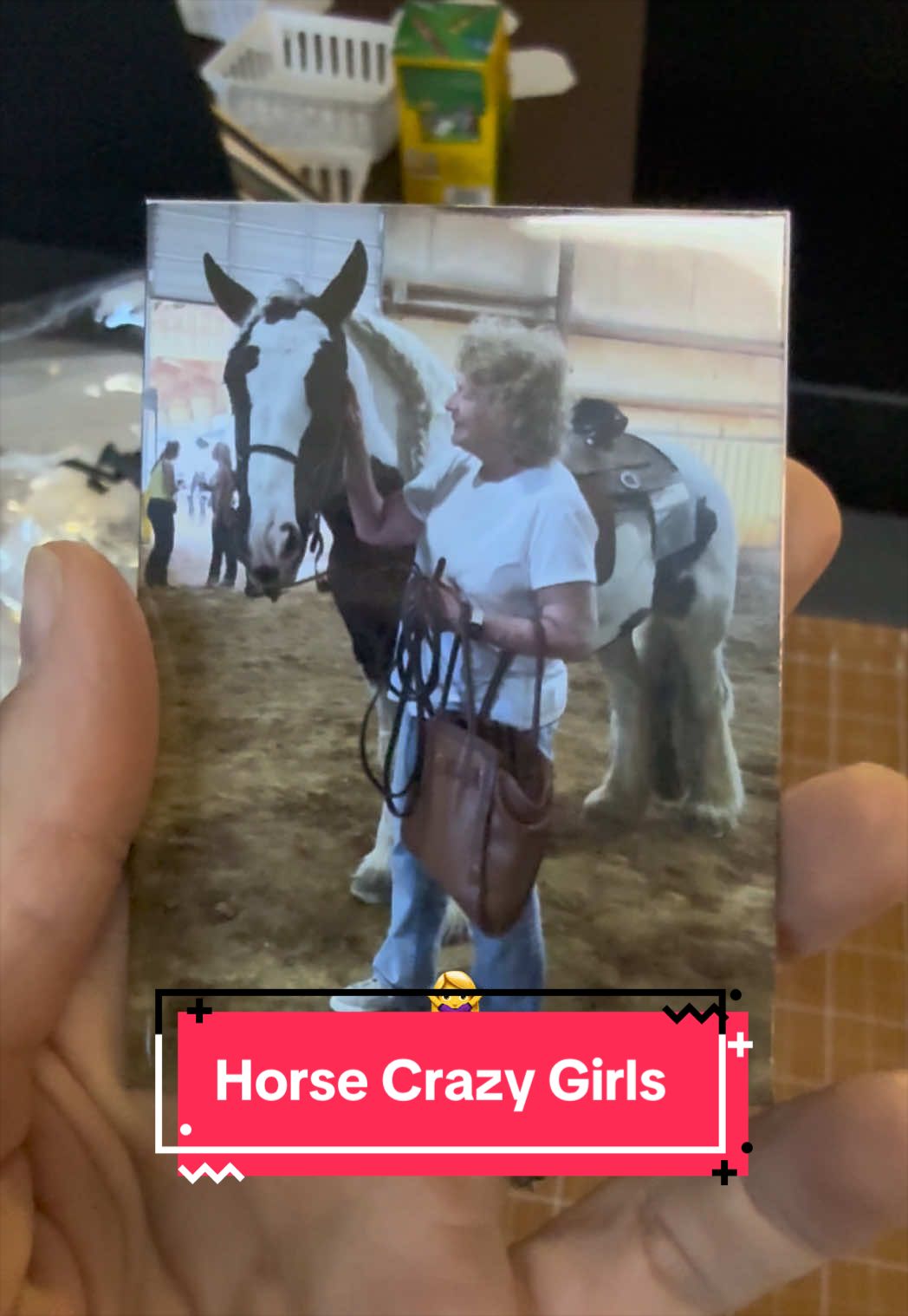 @yourhorseandponyleader