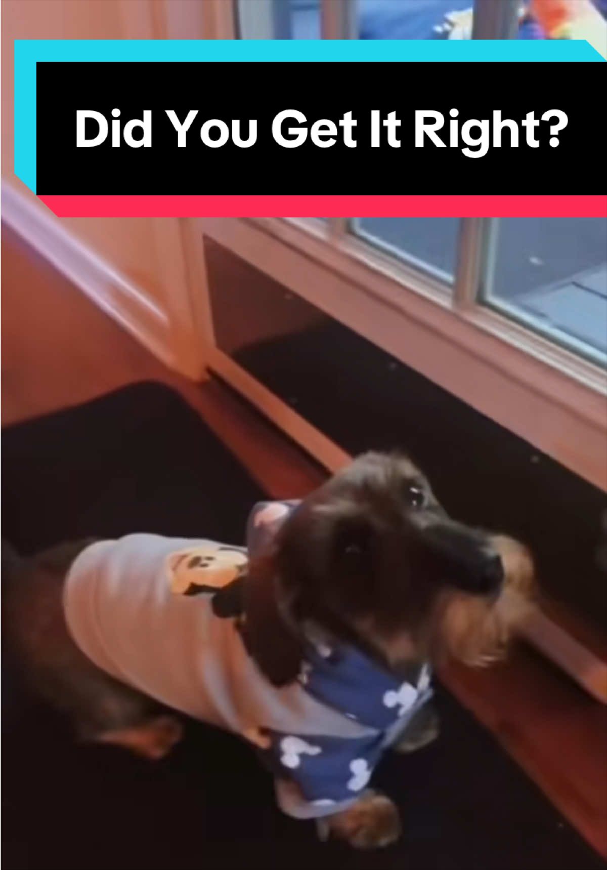 @dr.adam_christman_Veterinarian