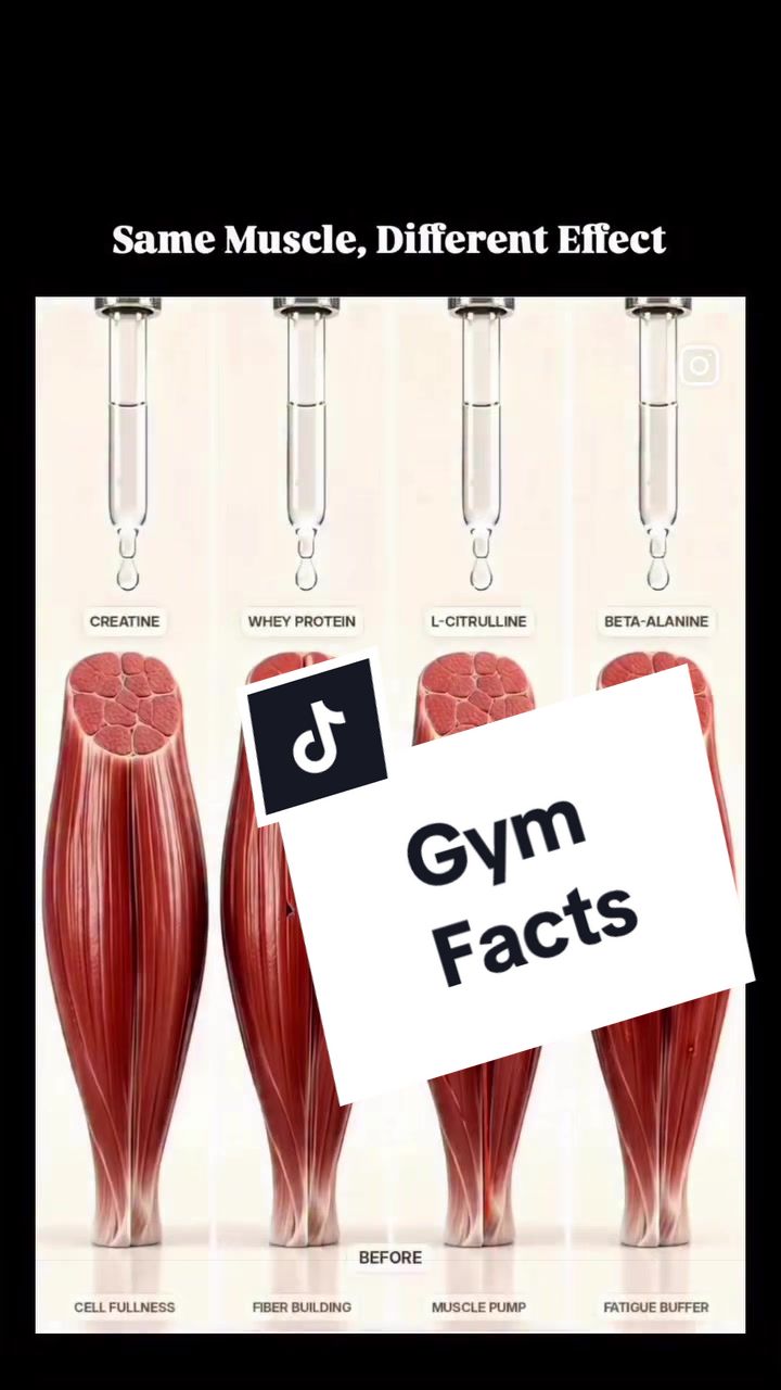 @Trainerlivin