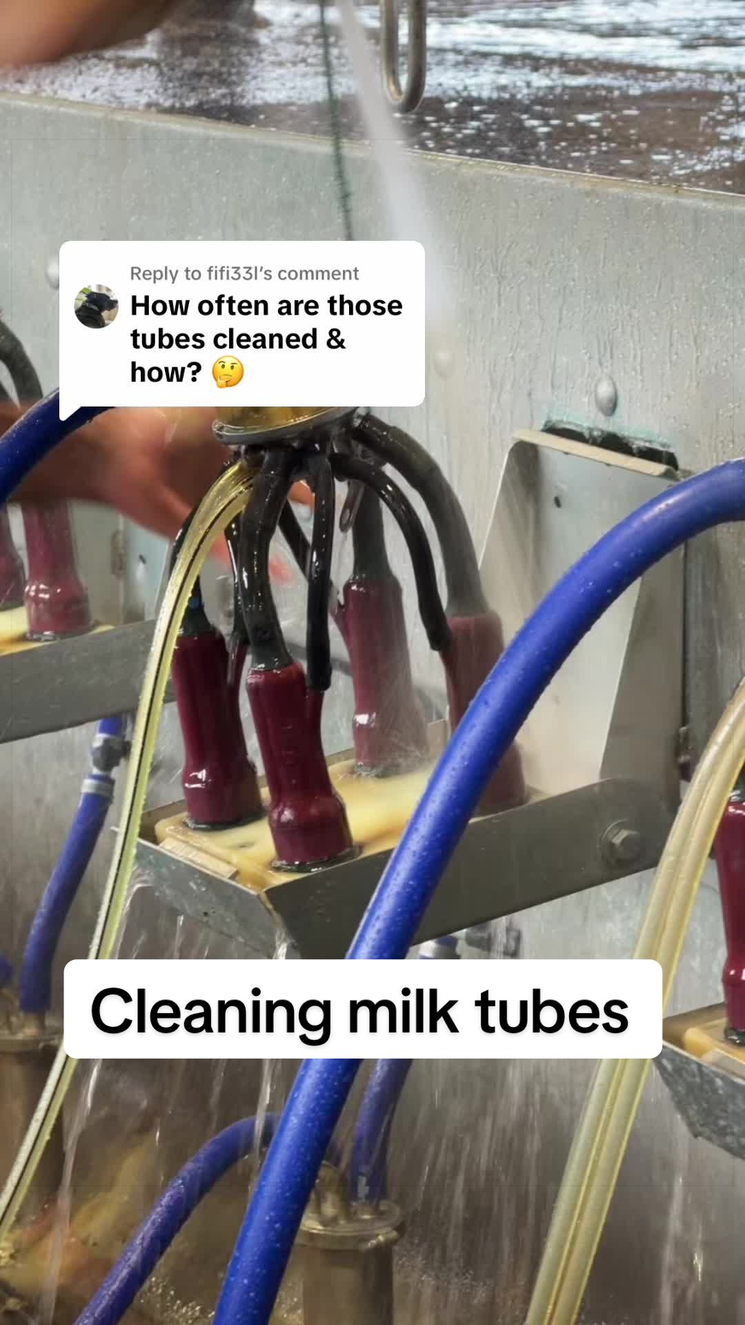 @Dairy Vet Dr. Michelle