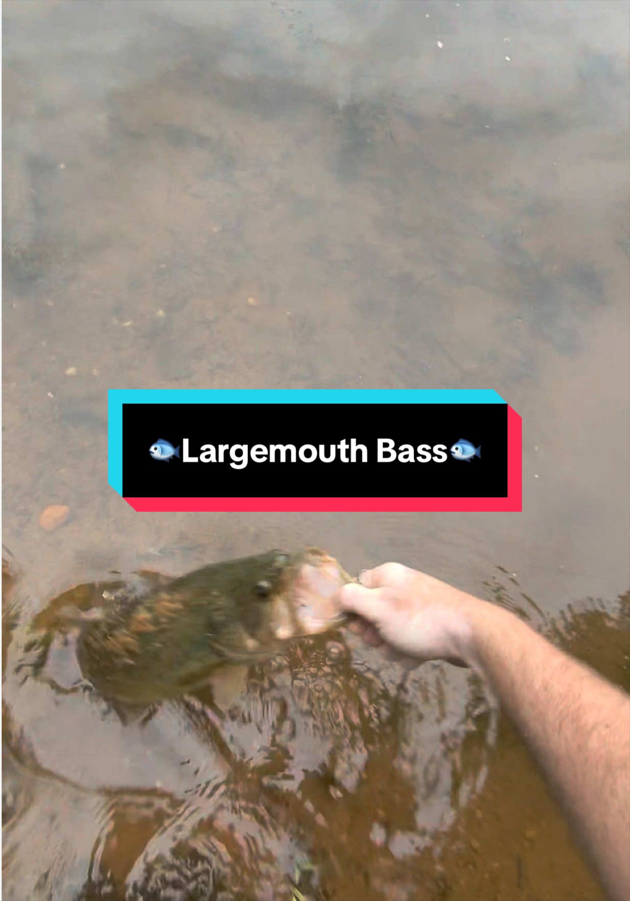 @fb1fishing