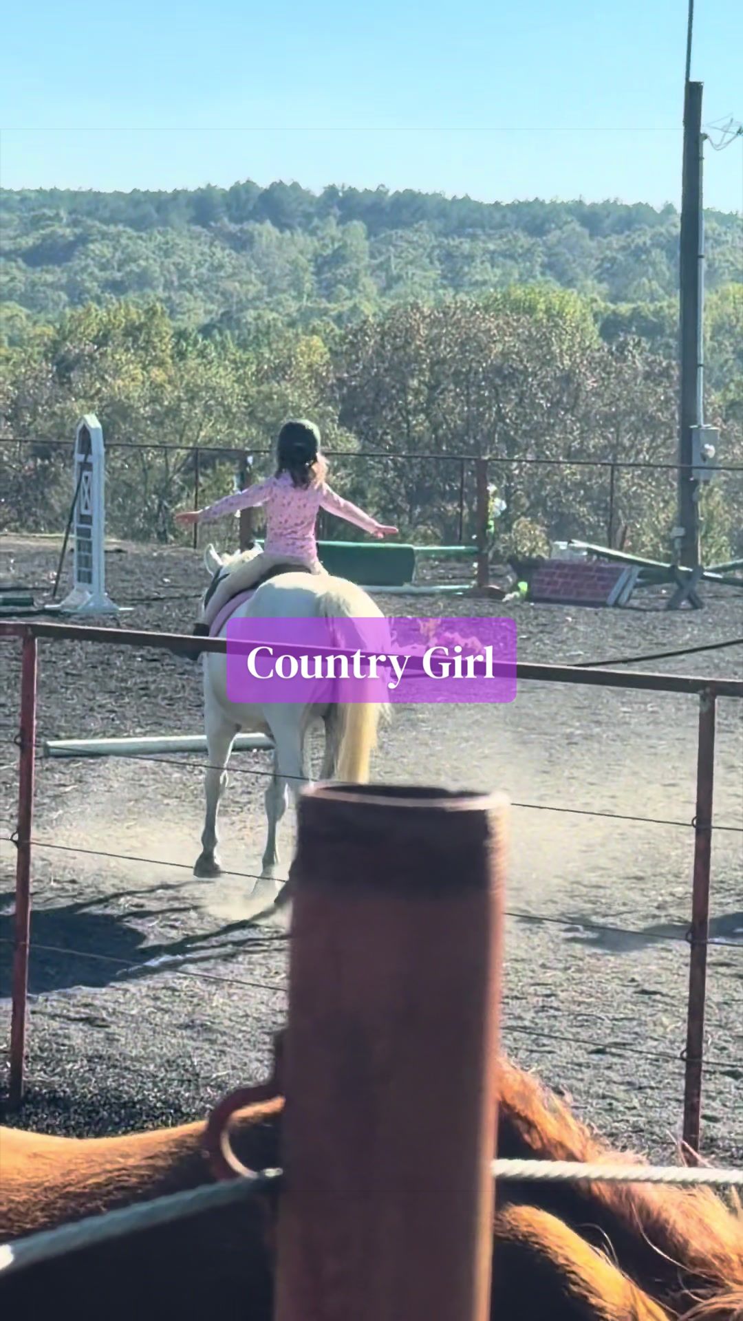 @Marci On The Farm