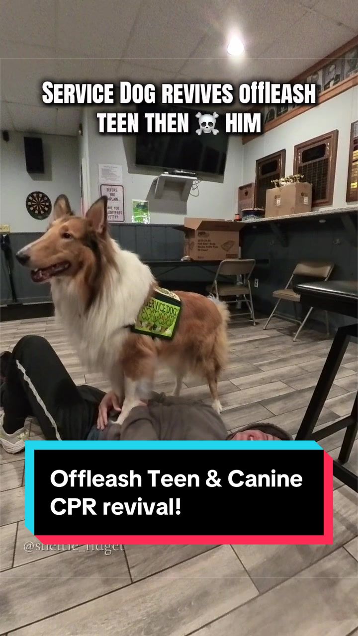 @Dakota & Pups