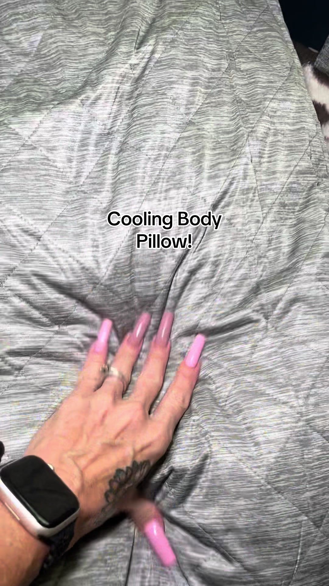@Mrs. Kitty