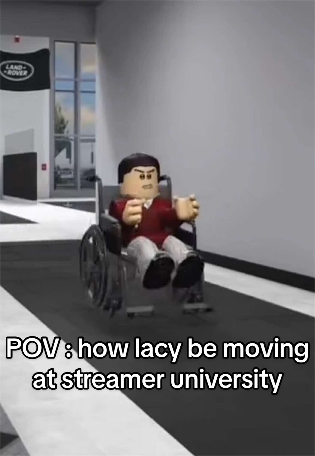 @dogchannelguy