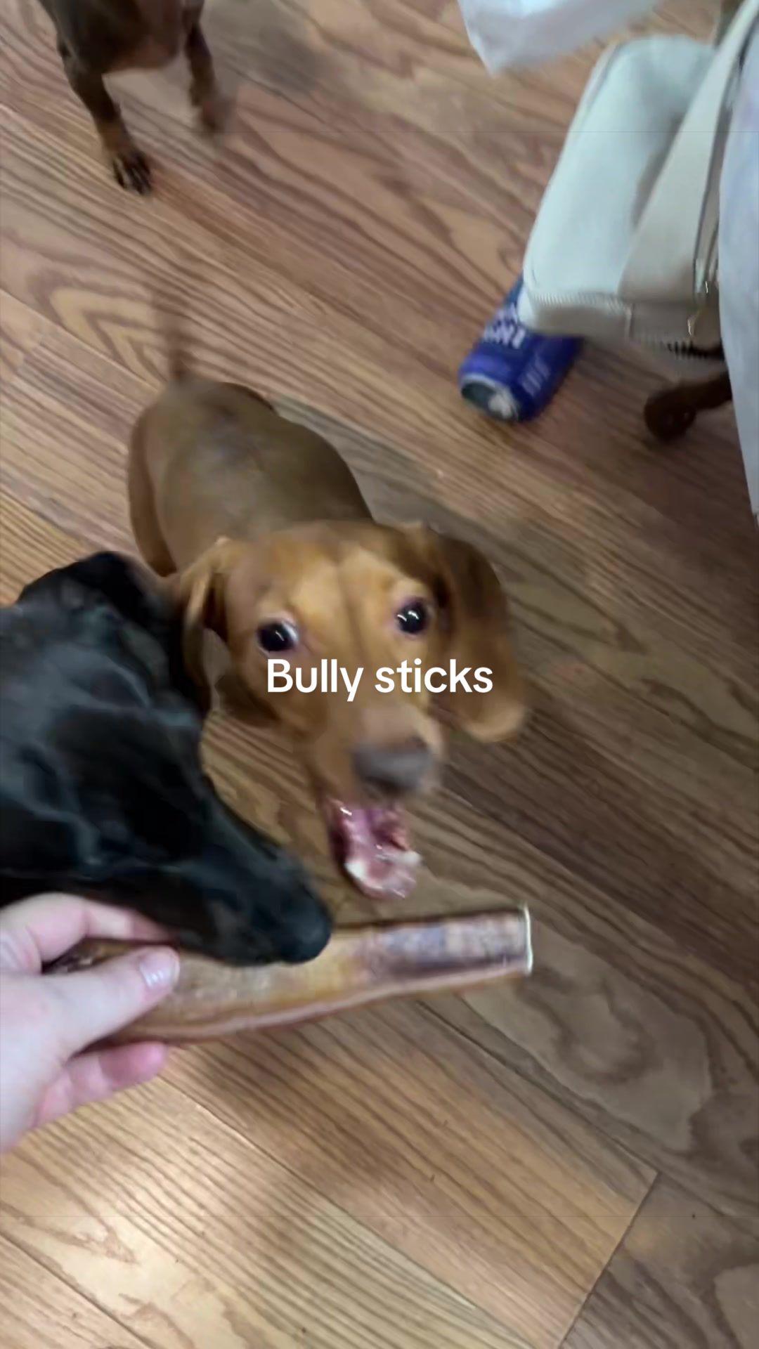 @Sarah and the Peanuts