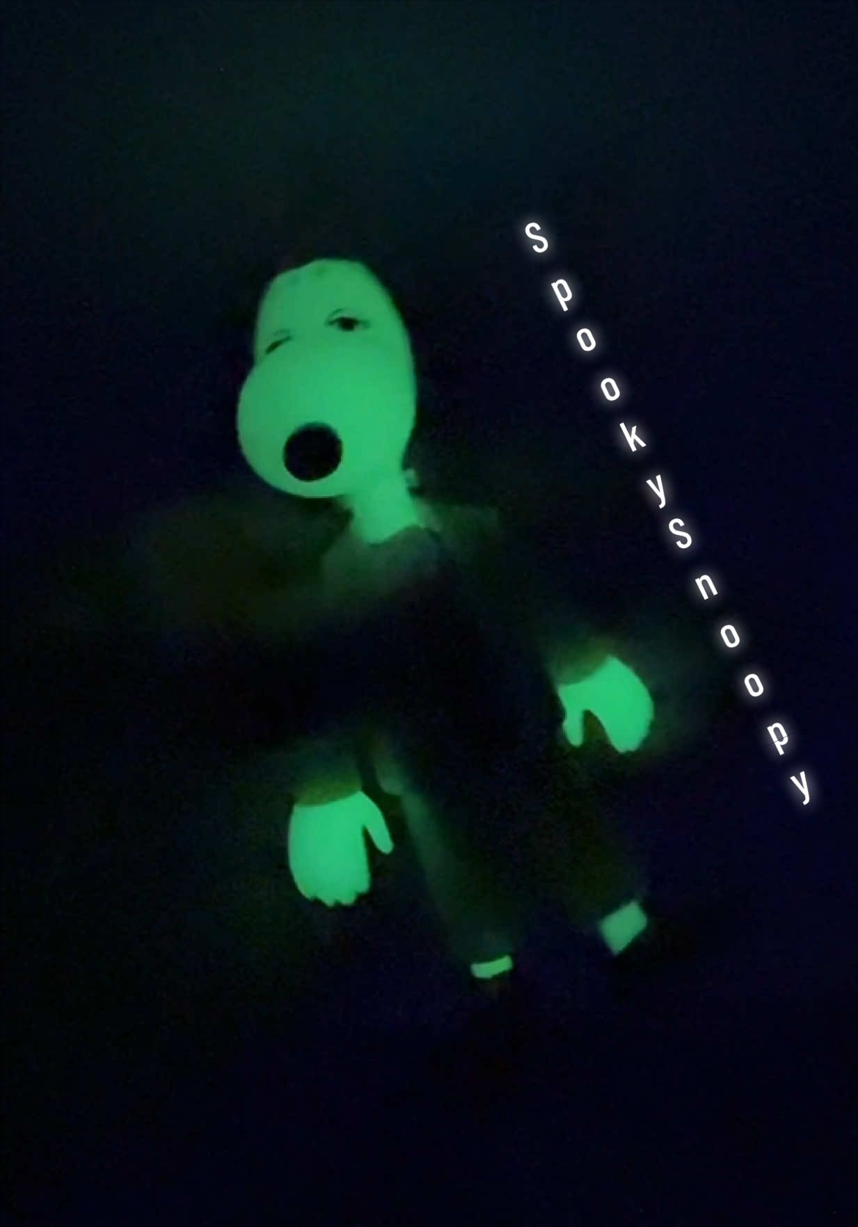 @SunniSnoopy | PEANUTS