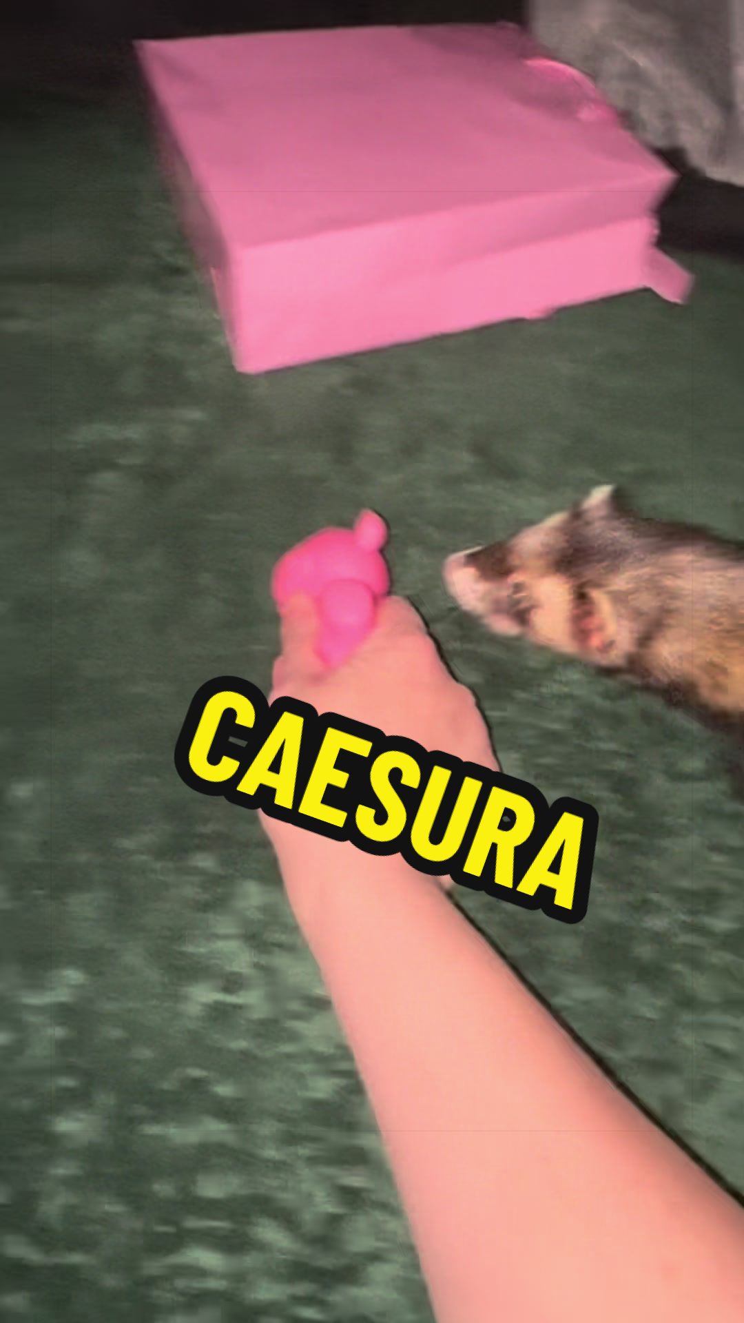 @Veritologic