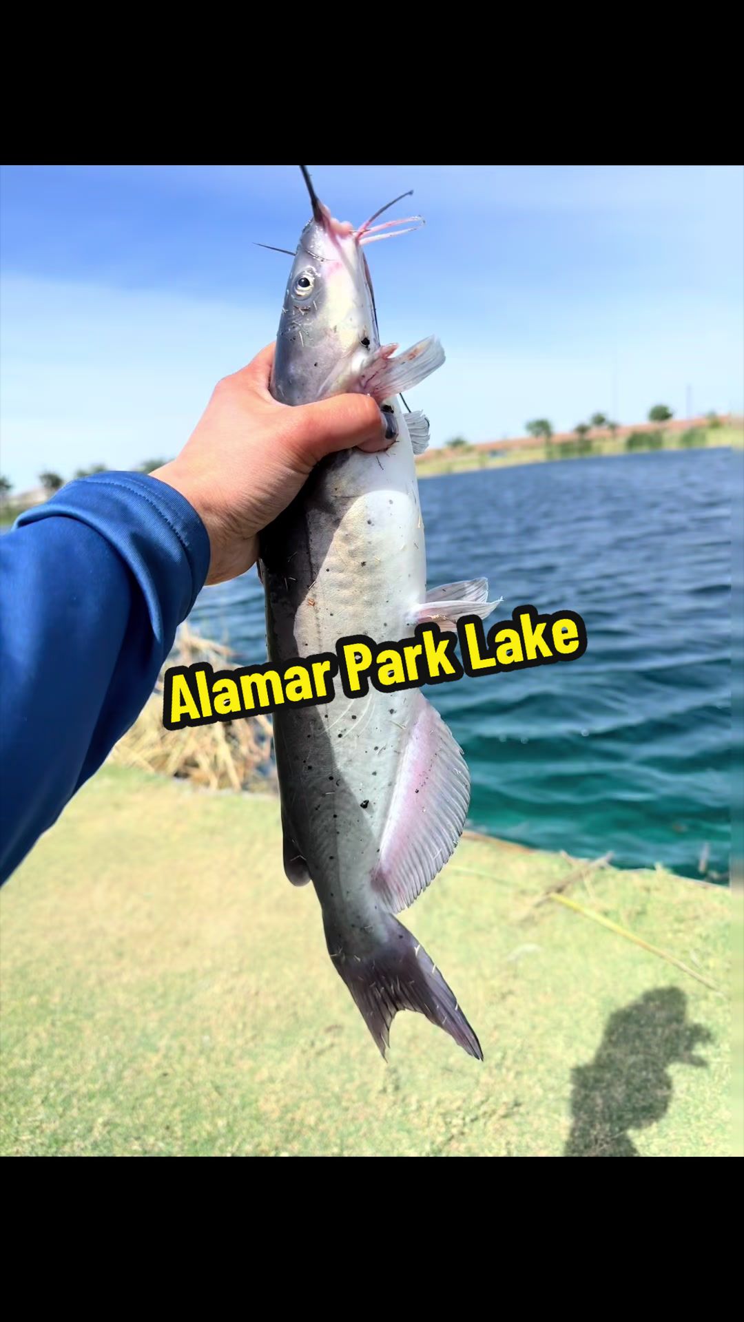 @Luu Nguyen Fishing