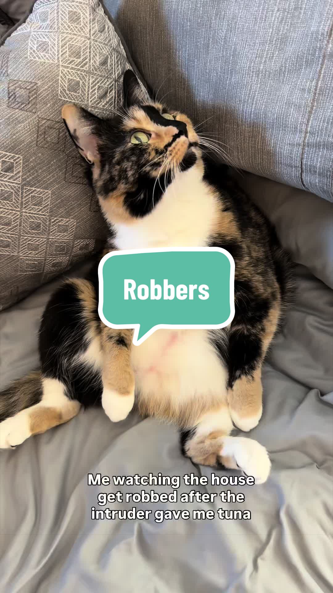 @SnickersTheSmilingCat