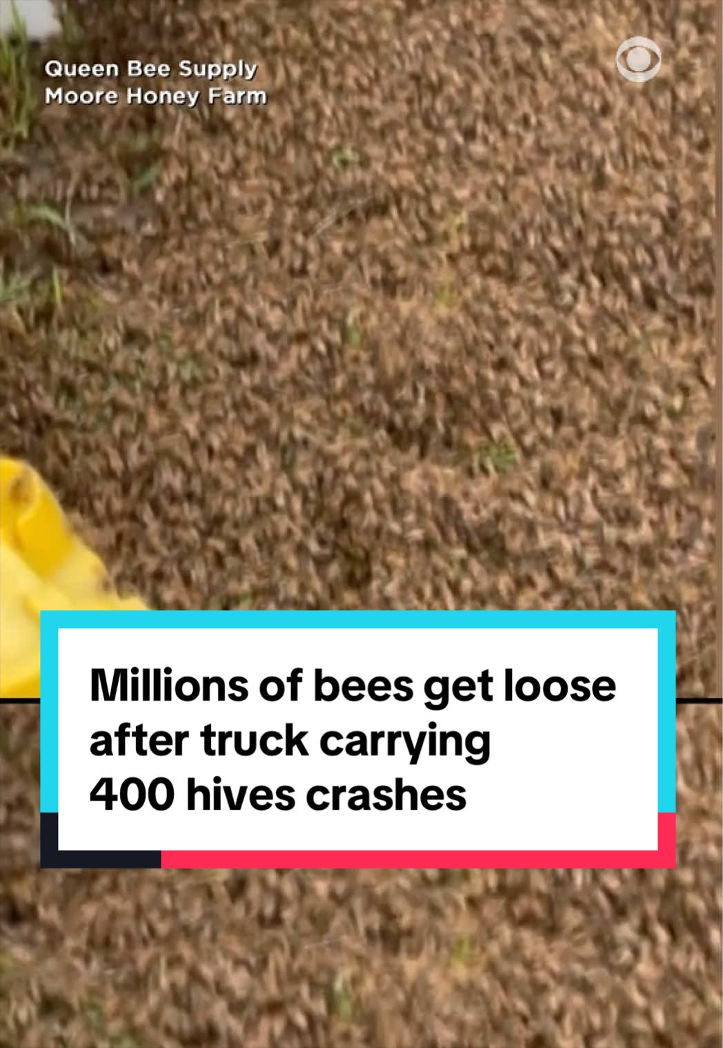 @cbsnews