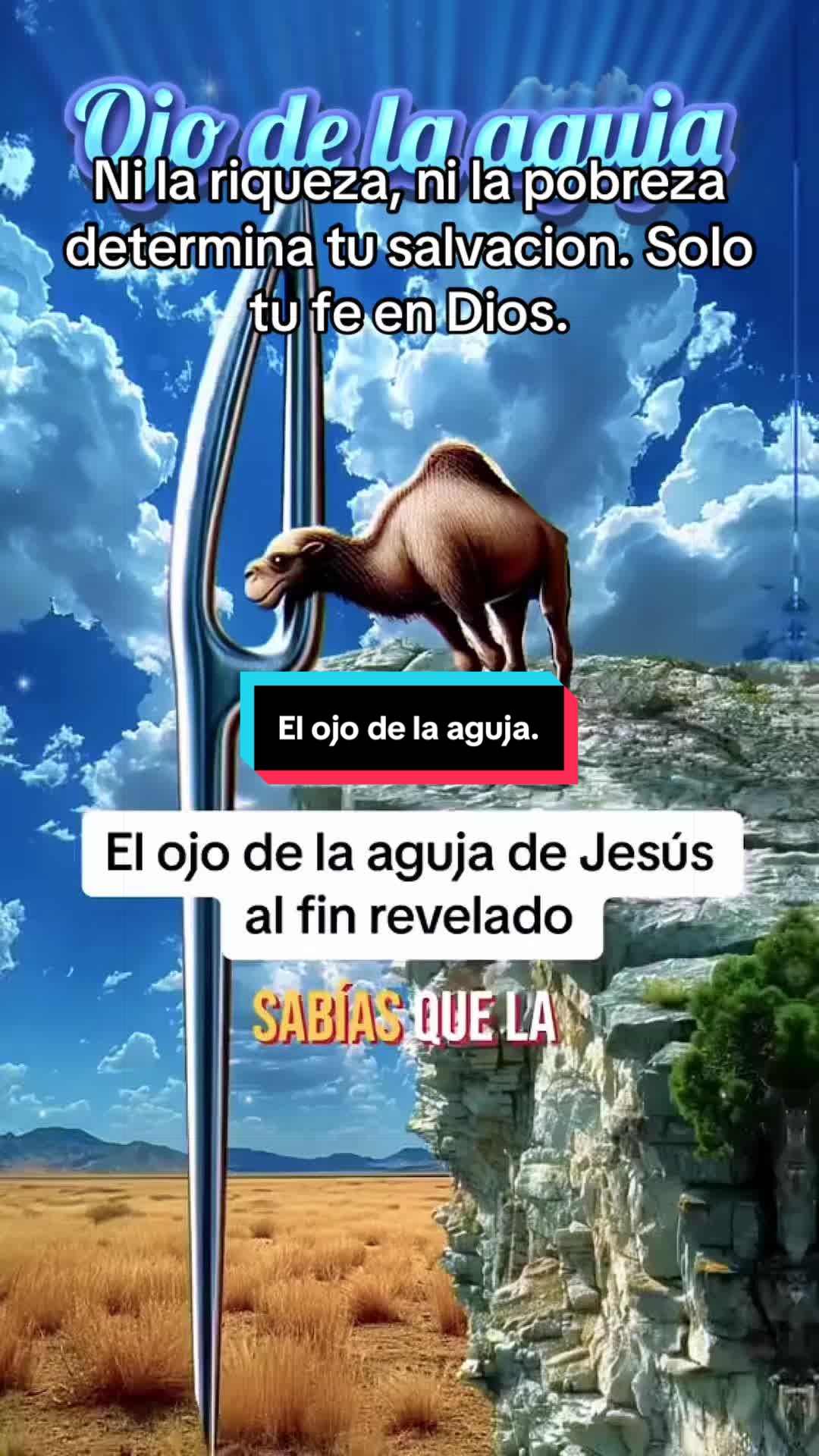 @Sabidur&iacute;a de Dios para ti.