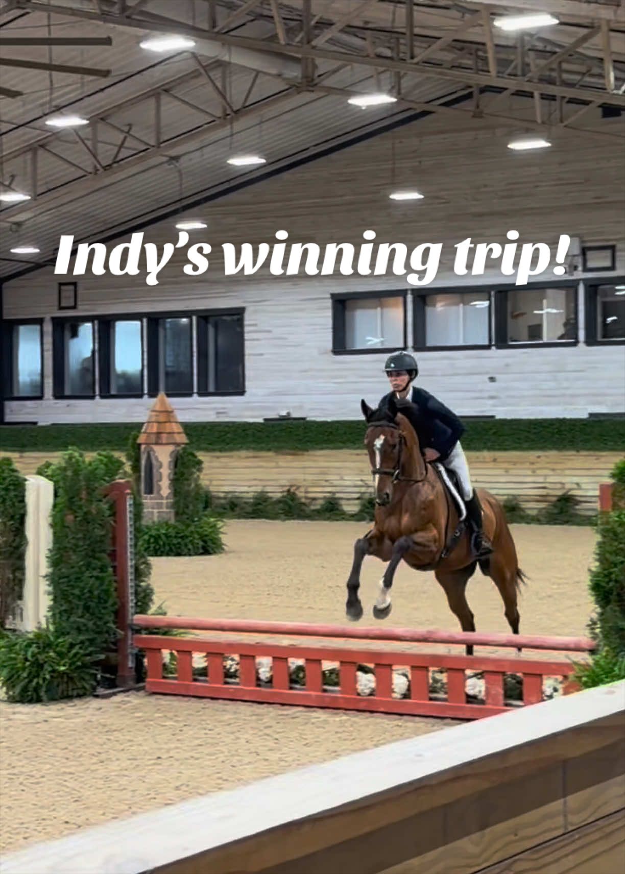@Lunar Hill Equestrian