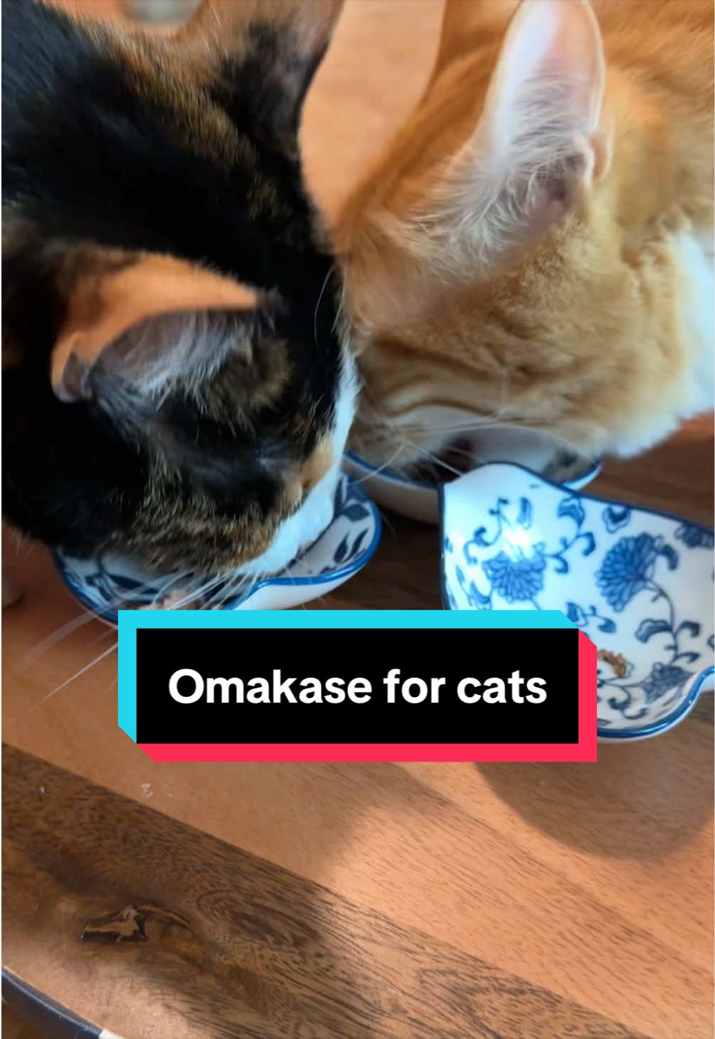 @meloncreamcat