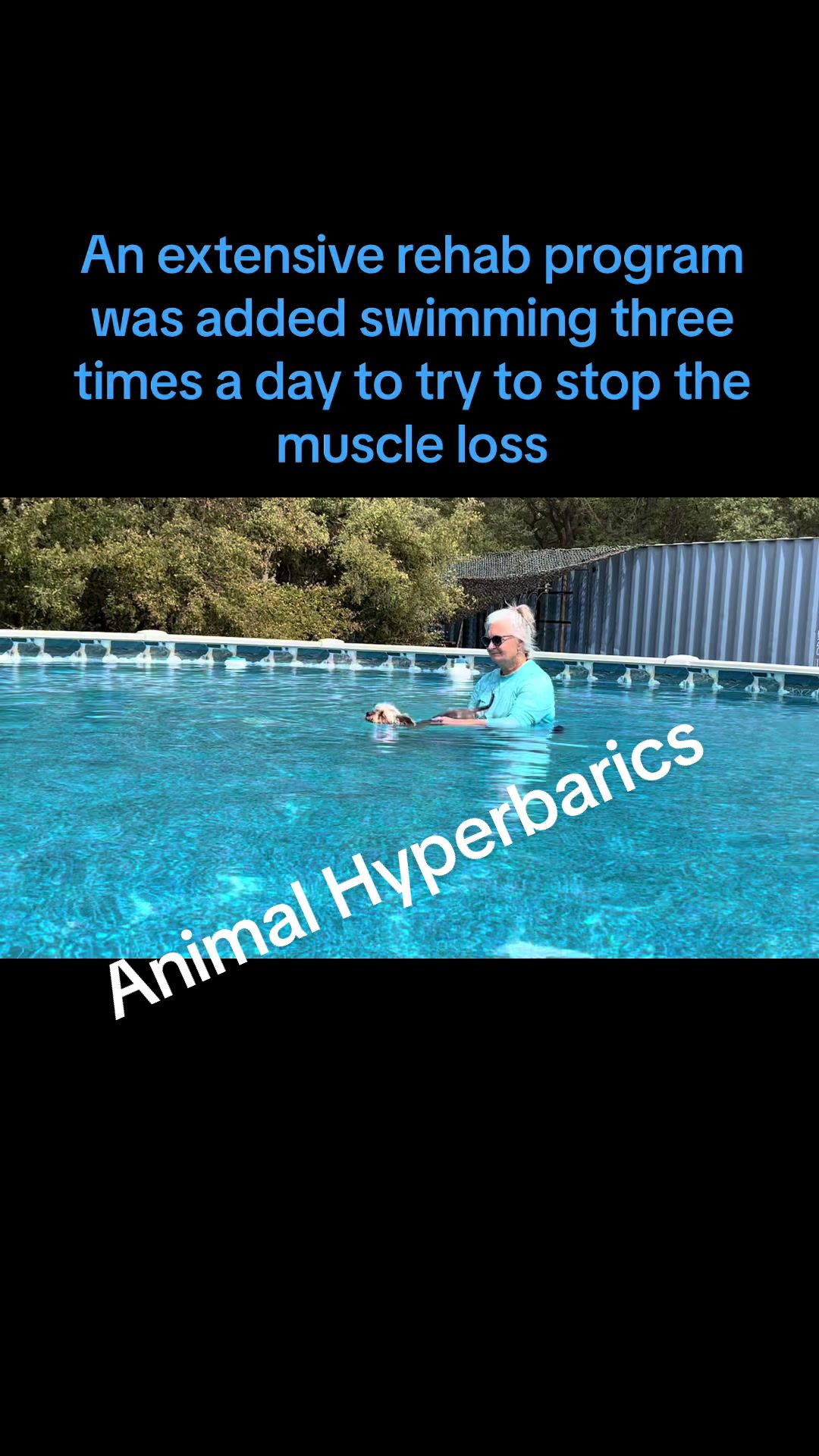 @#animalhyperbarics