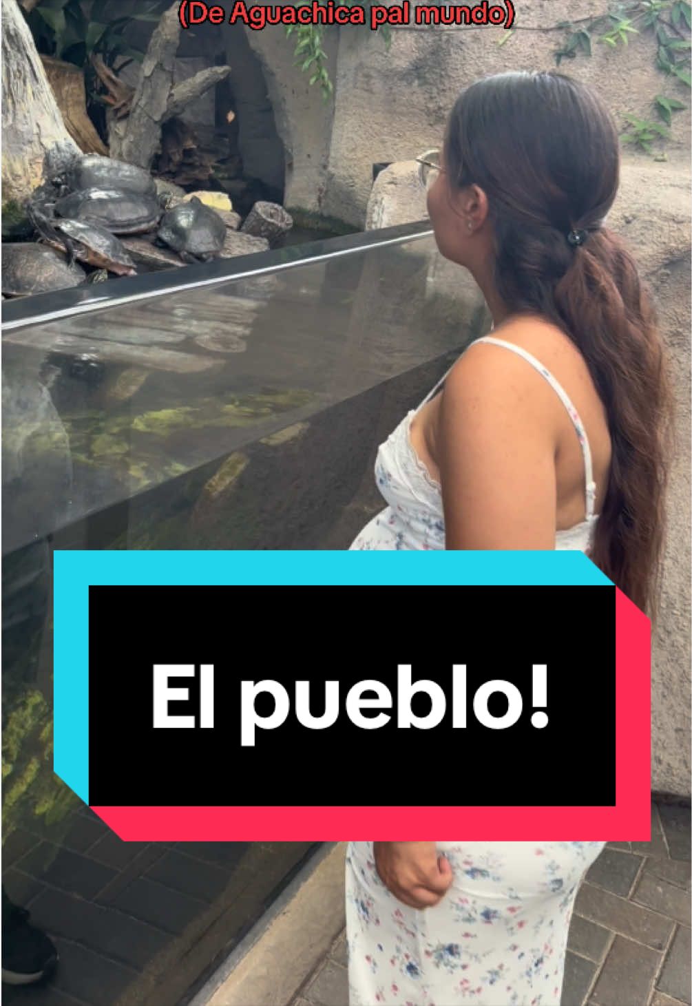 @Luz&Bay