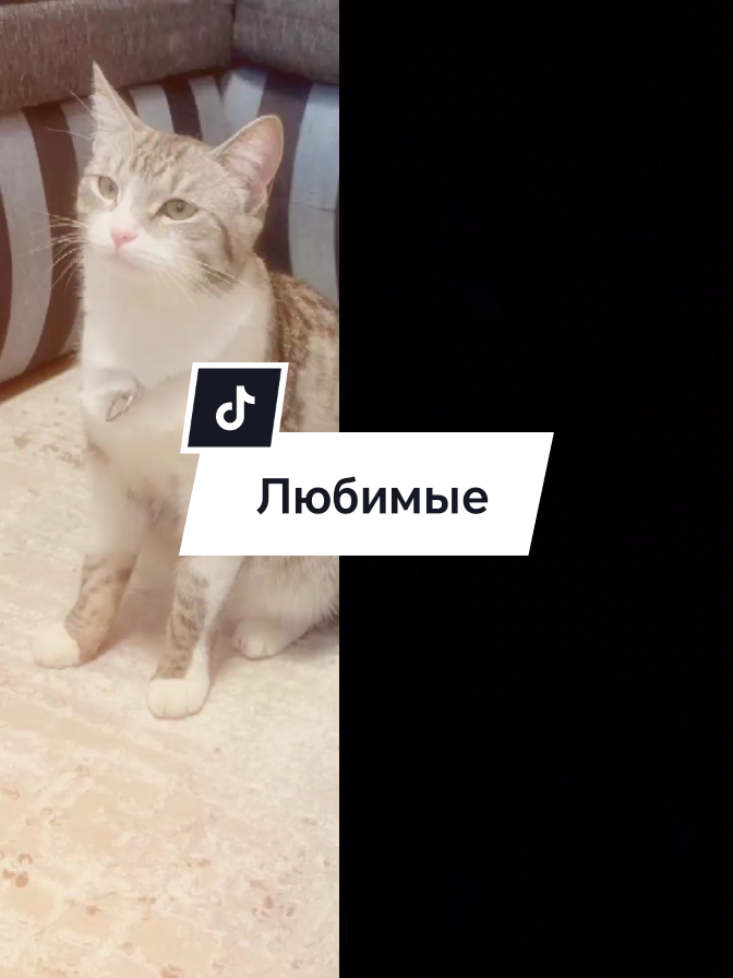 @🩸маньячка🩸