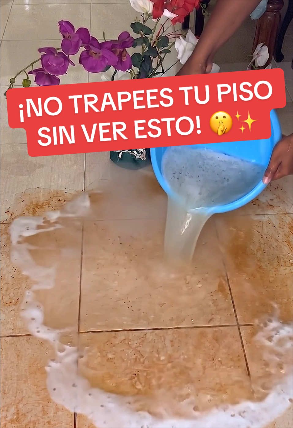 @Consejos para tu casa y más