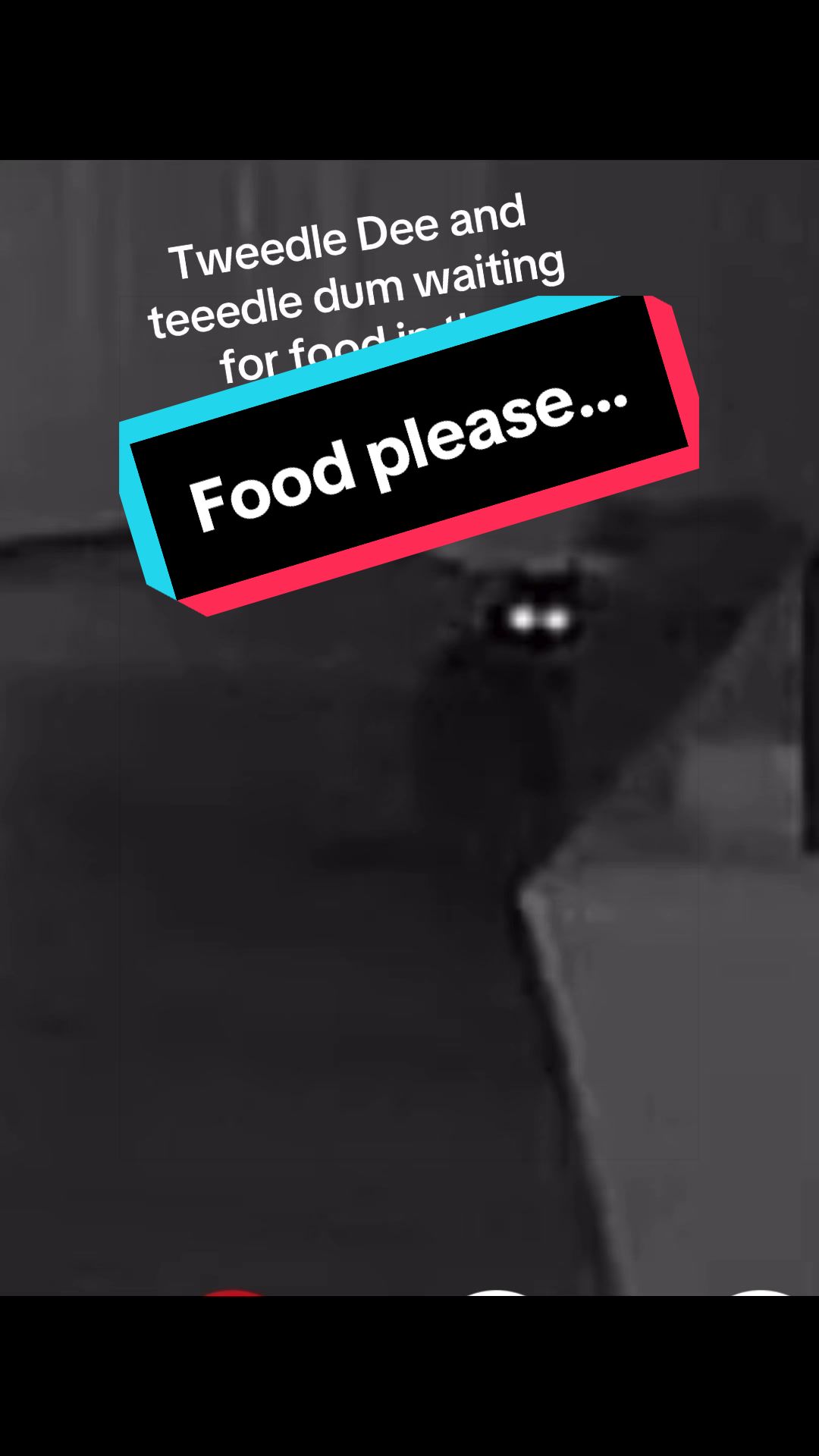 @user130303954229