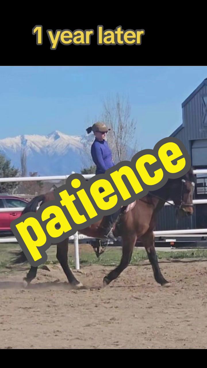 @Stacey Balanced Rider