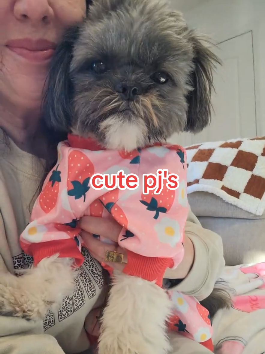 @🐶🎀OzzyBoy&Jenn🎀🐶