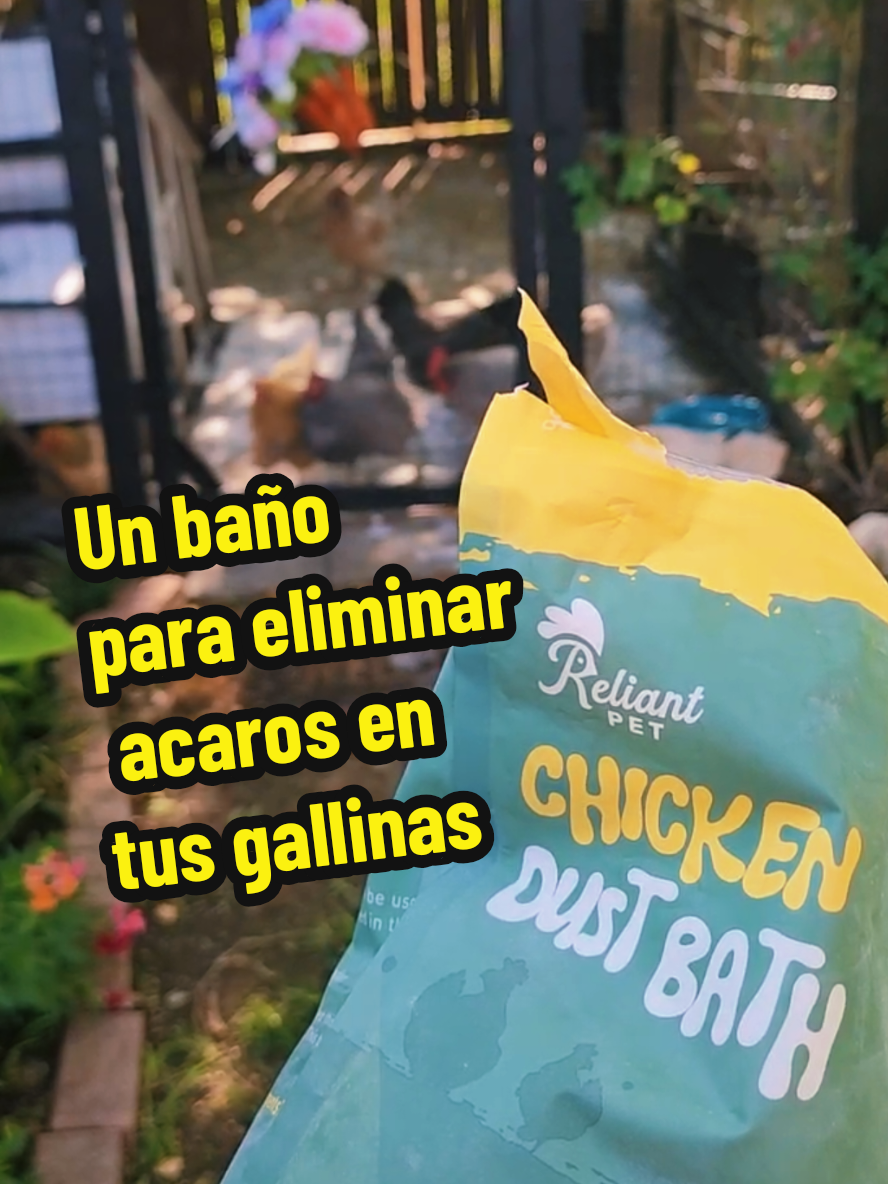 @Mi Rincón Favorito