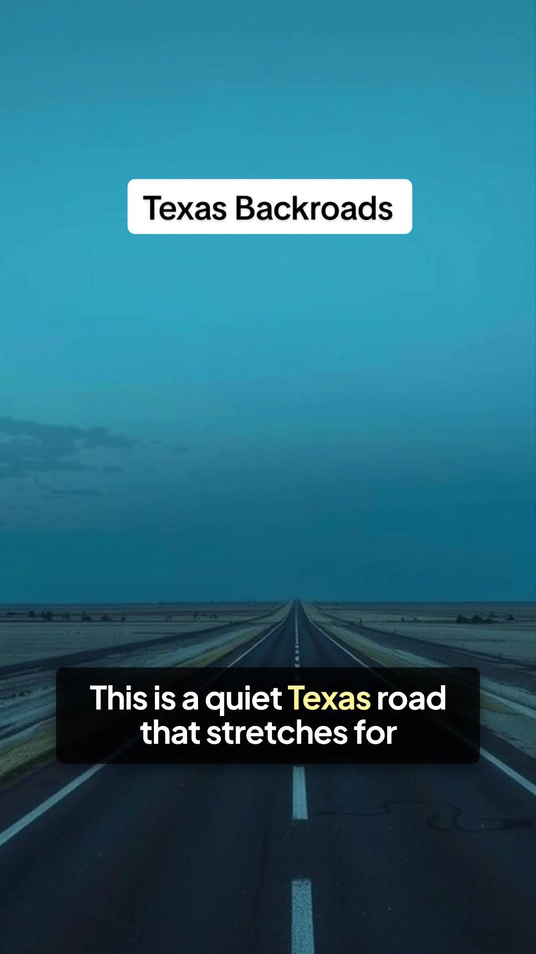 @Texas Untamed