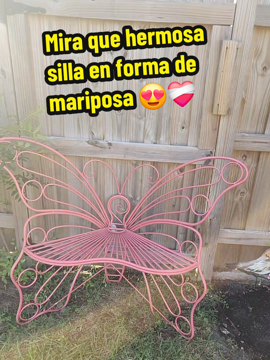 @Masiel 🦋