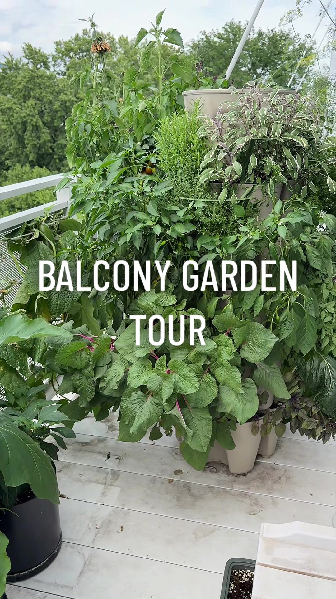 @gardeningindoors