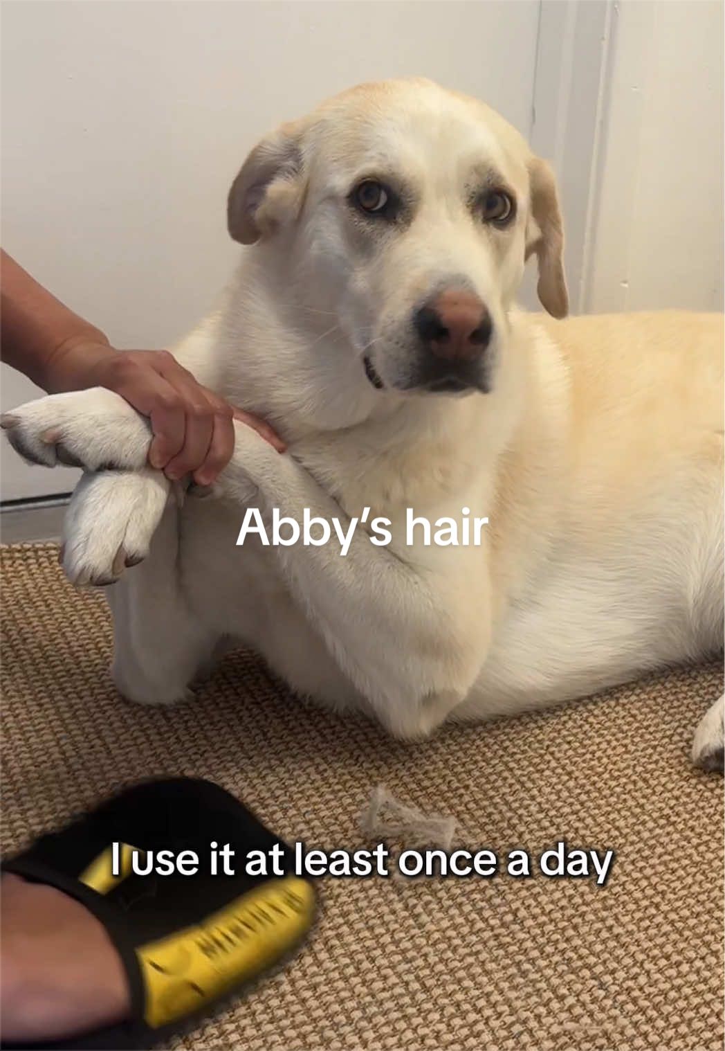 @natehyung