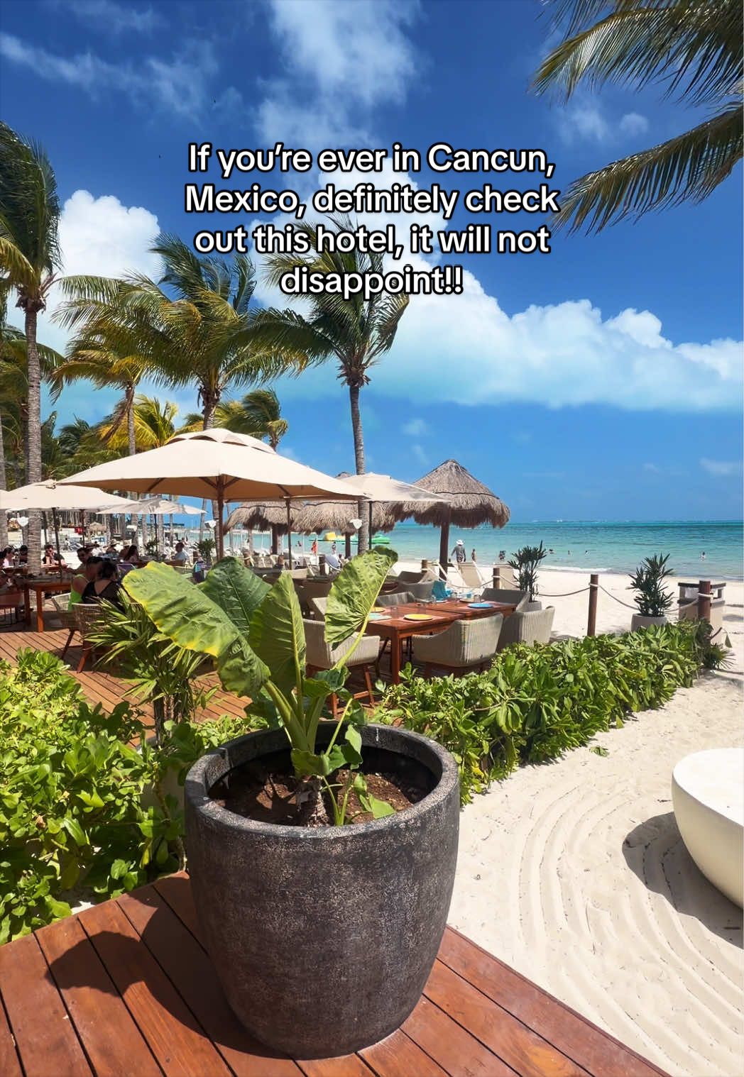 @Liam 🏝️