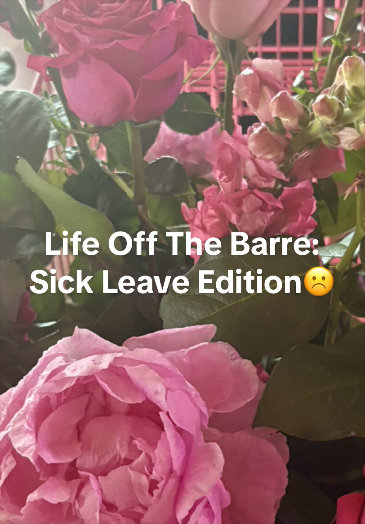 @Lucretia~DMV Barre Instructor