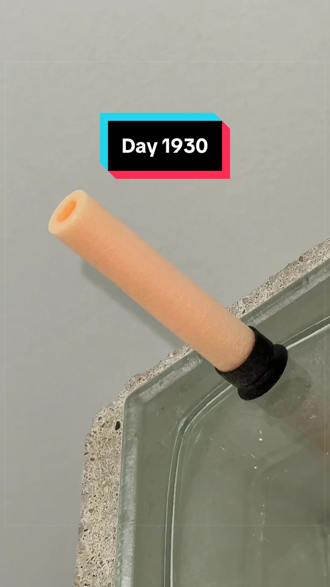 @The Immortal Nerf Dart