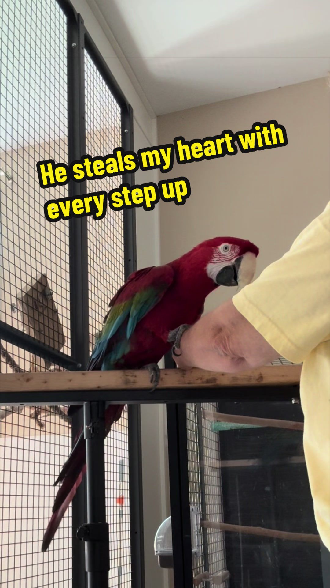 @thehinzoo
