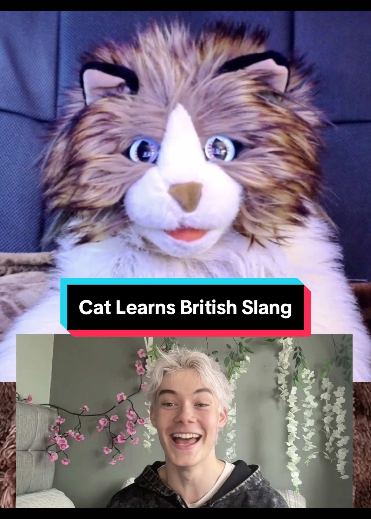 @PeterPrankster