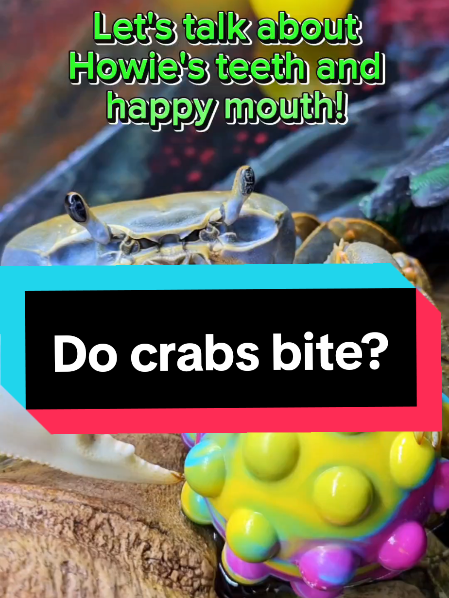 @Howie The Crab