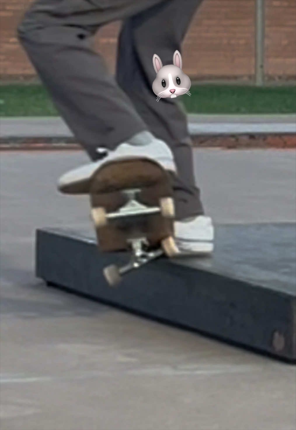 @Swarmalator