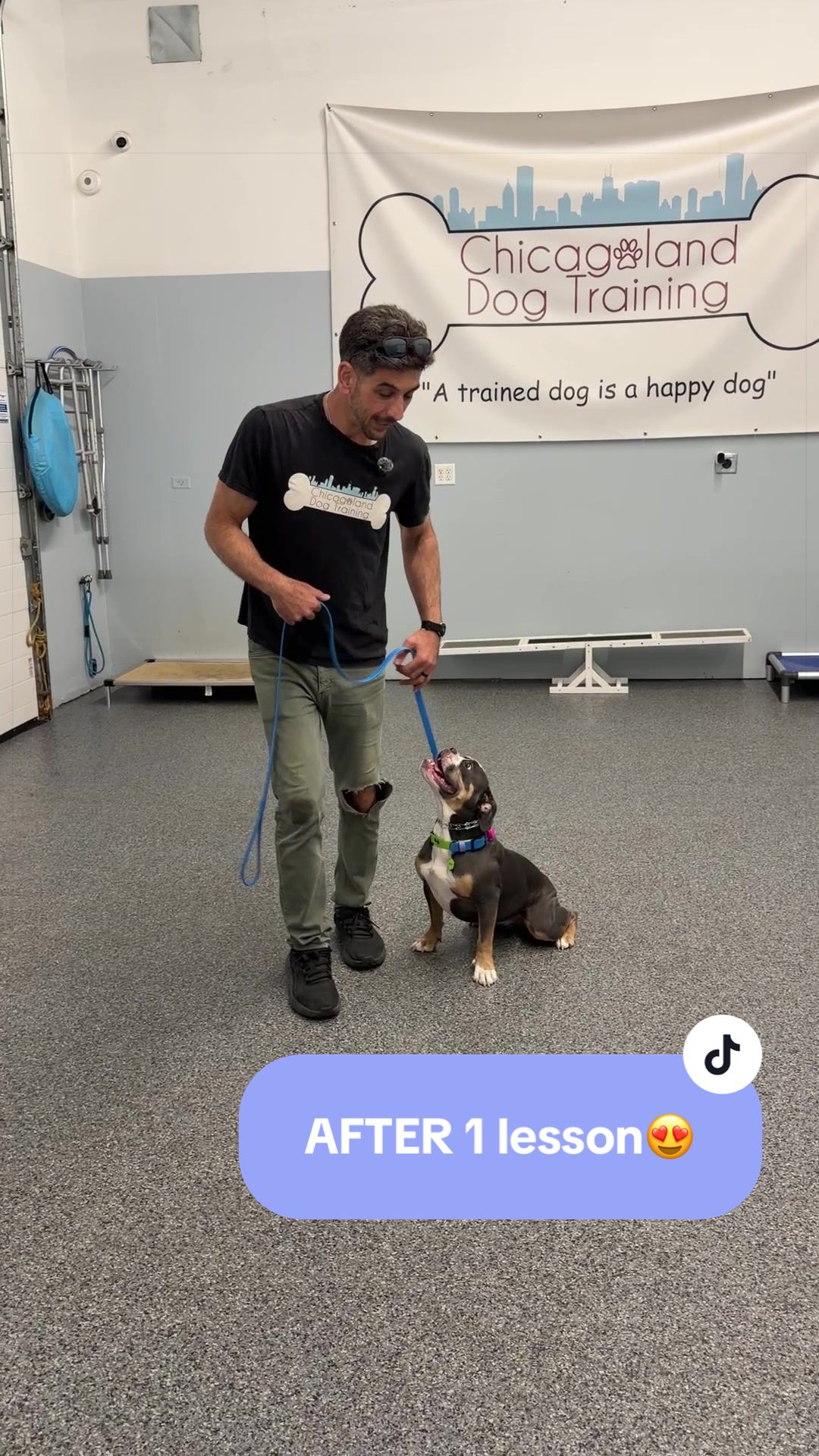 @Chicagoland Dog Training