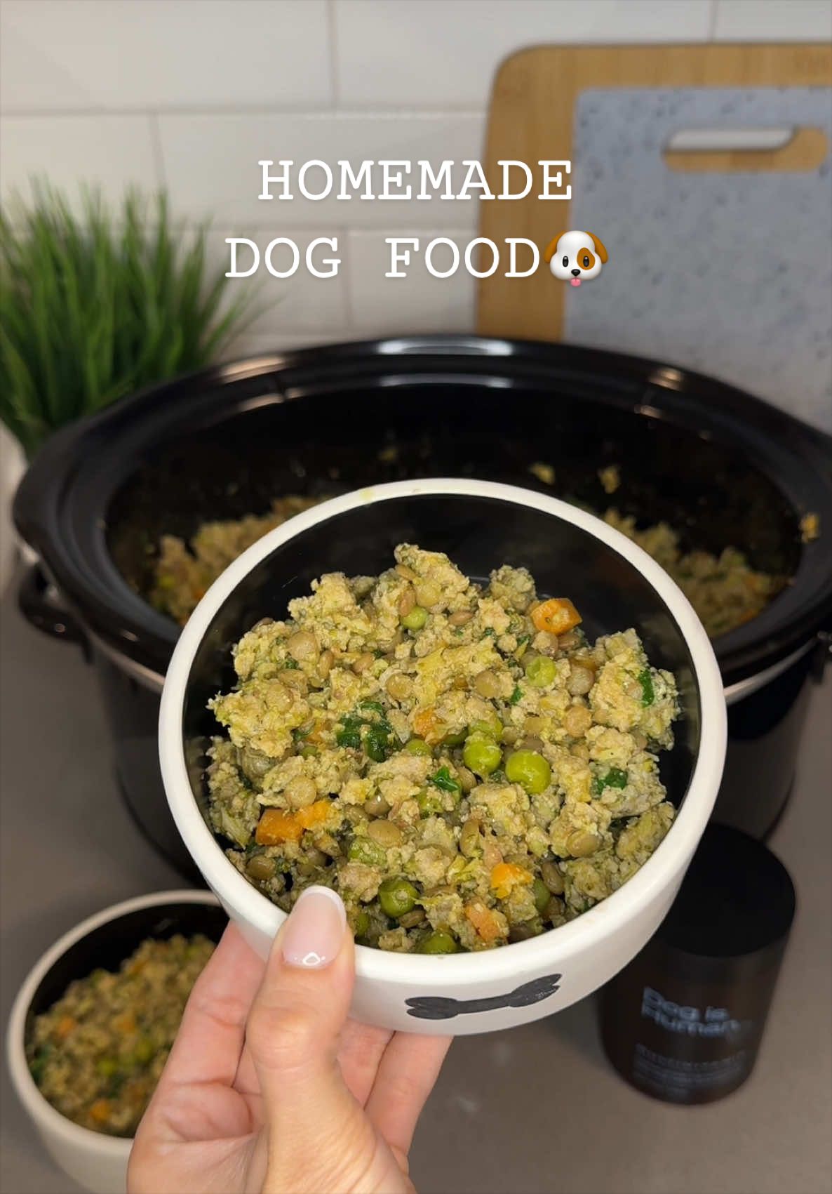 @Dog Bites Daily