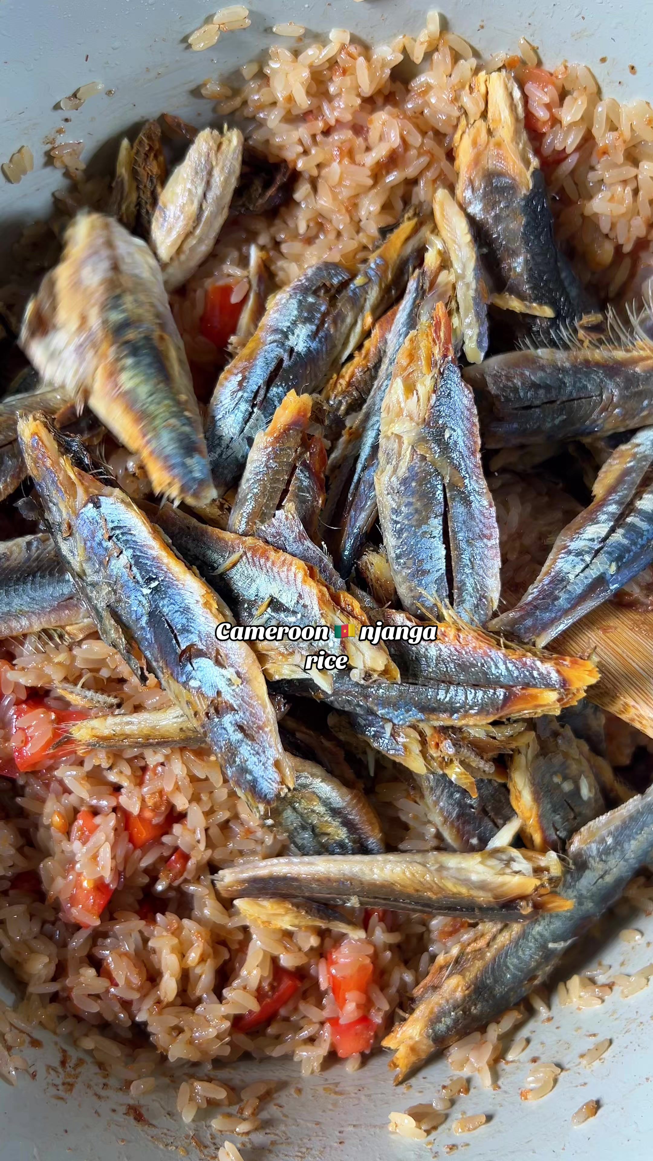 @TheFoodieJourney