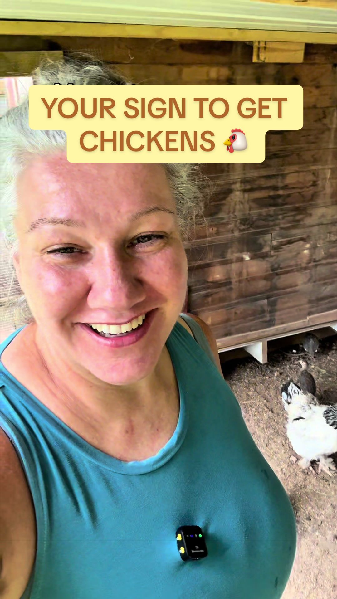 @Amy Jo | Eggnigma Holler 🐔