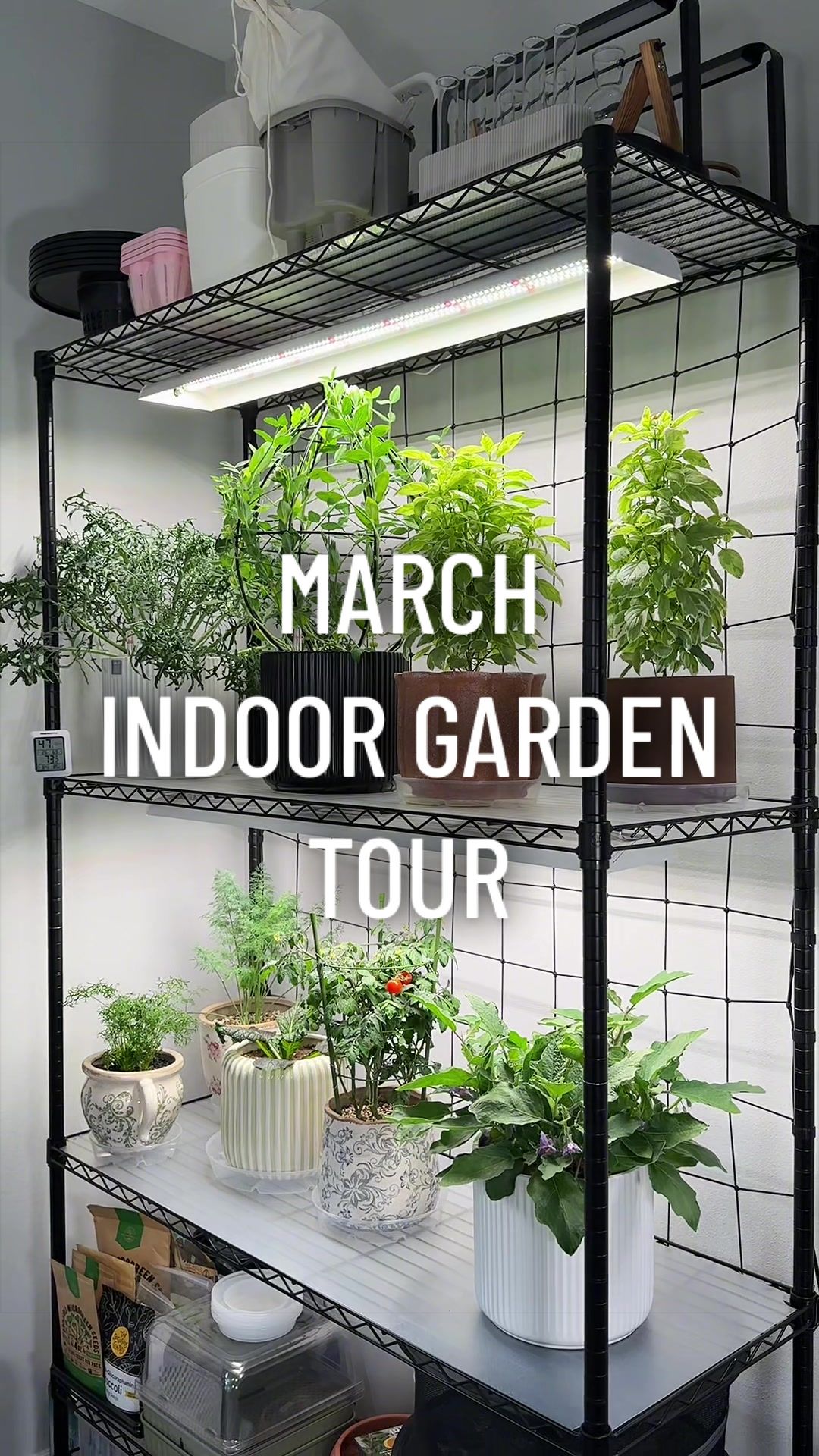 @gardeningindoors