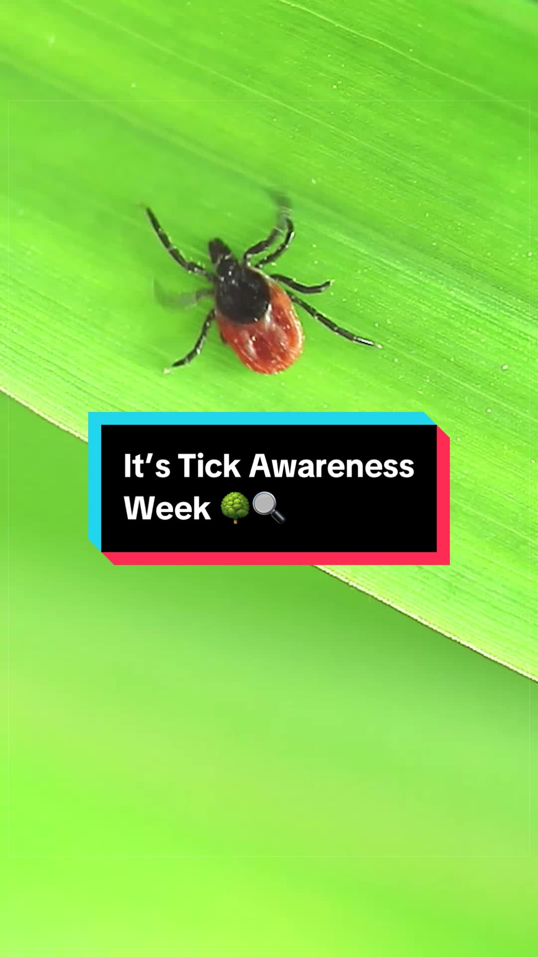 @PestWorld