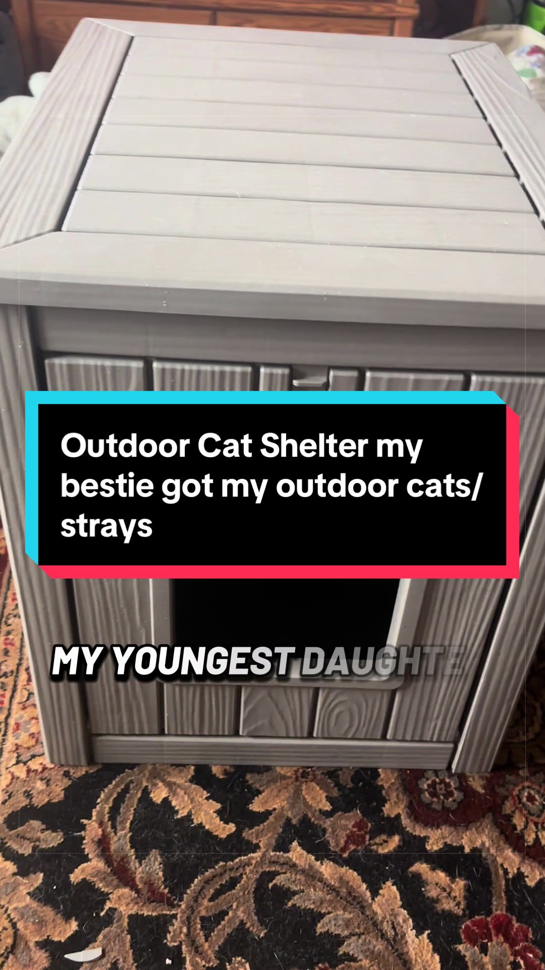 @catlover313official