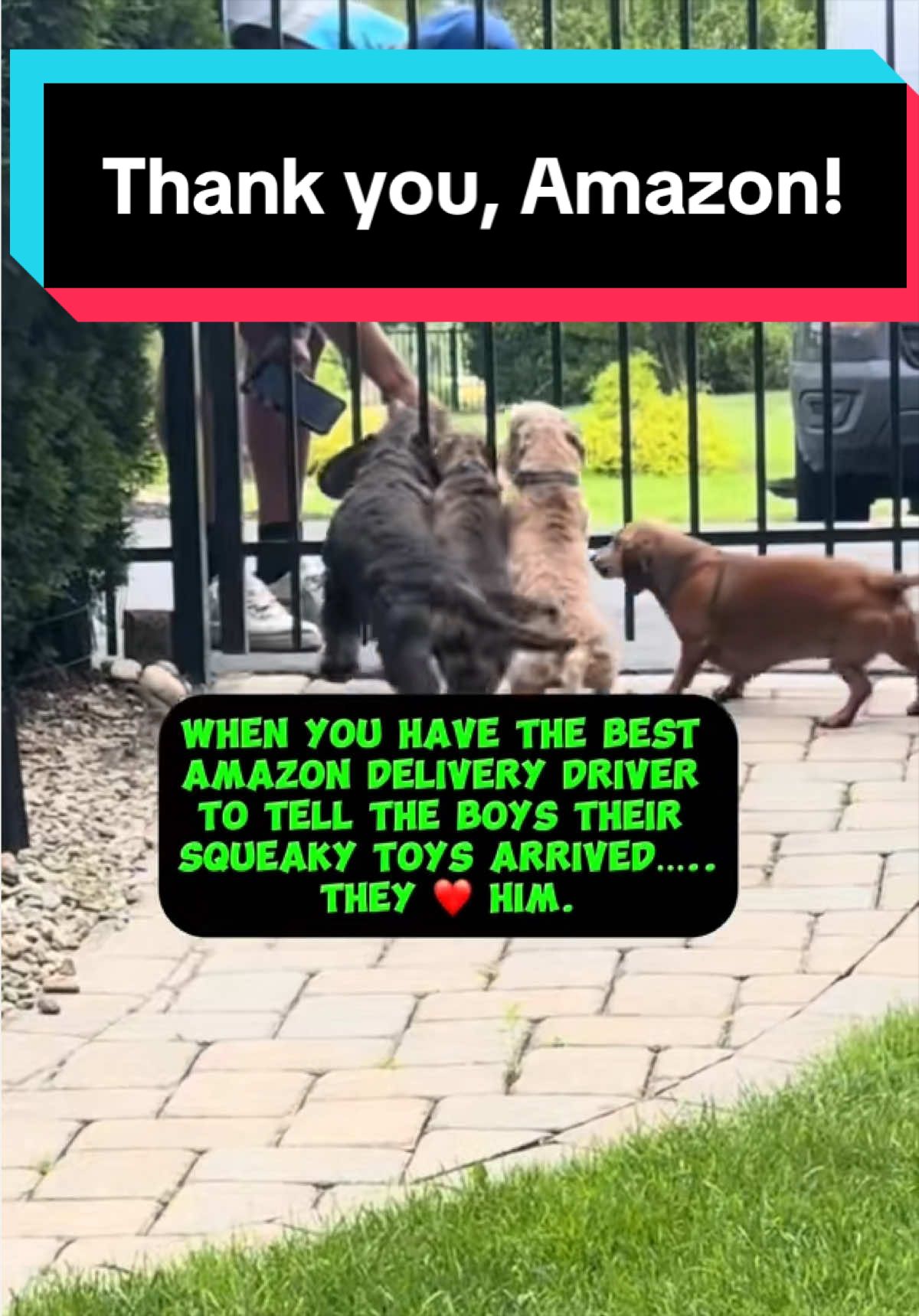 @dr.adam_christman_Veterinarian